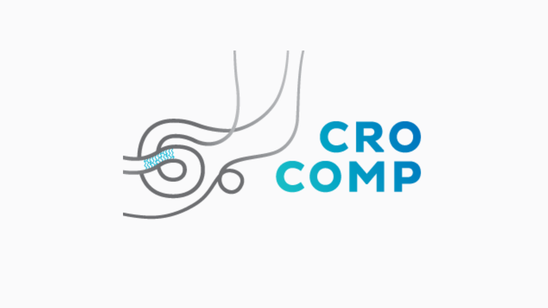 6. CRO Comp - Šesti hrvatski intervencijski kongres o komplikacijama koronarnih i drugih invazivnih postupaka
