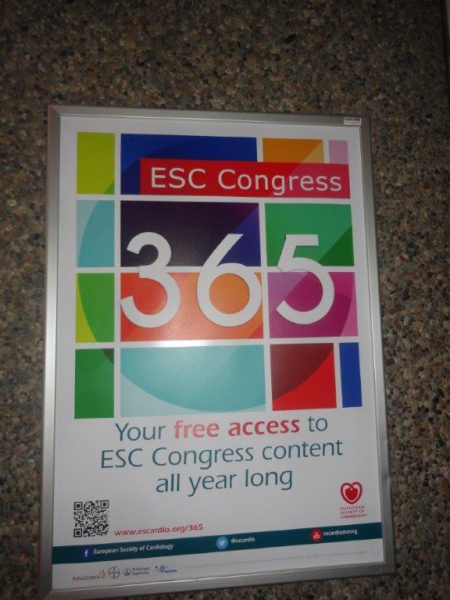 ESC kongres 2013.