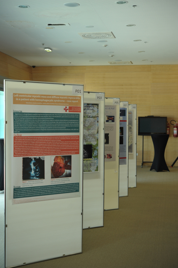 CroEcho 2013.